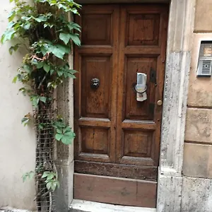 Harmony In Roma